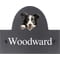 Personalised Border Collie Dog Motif Slate House Name or Number Plaque/Sign - 25x20cm