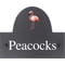 Personalised Flamingo Bird Motif Slate House Name or Number Plaque/Sign - 25x20cm