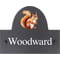 Personalised Squirrel Dog Motif Slate House Name Or Number Plaque/Sign - 25x20cm