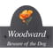 Personalised California Poppy Flower Motif Slate House Name or Number Plaque/Sign - 25x20cm