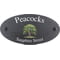 Personalised Oak Tree Motif Oval Slate House Sign Plaque 25x13cm