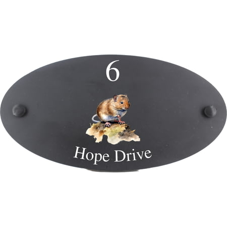 Personalised Vole Wildlife Animal Motif Oval Slate House Sign Plaque 25x13cm