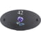 Personalised Pansy Flower Motif Oval Slate House Sign Plaque 25x13cm