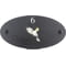 Personalised Cockatoo Bird Motif Oval Slate House Sign Plaque 25x13cm