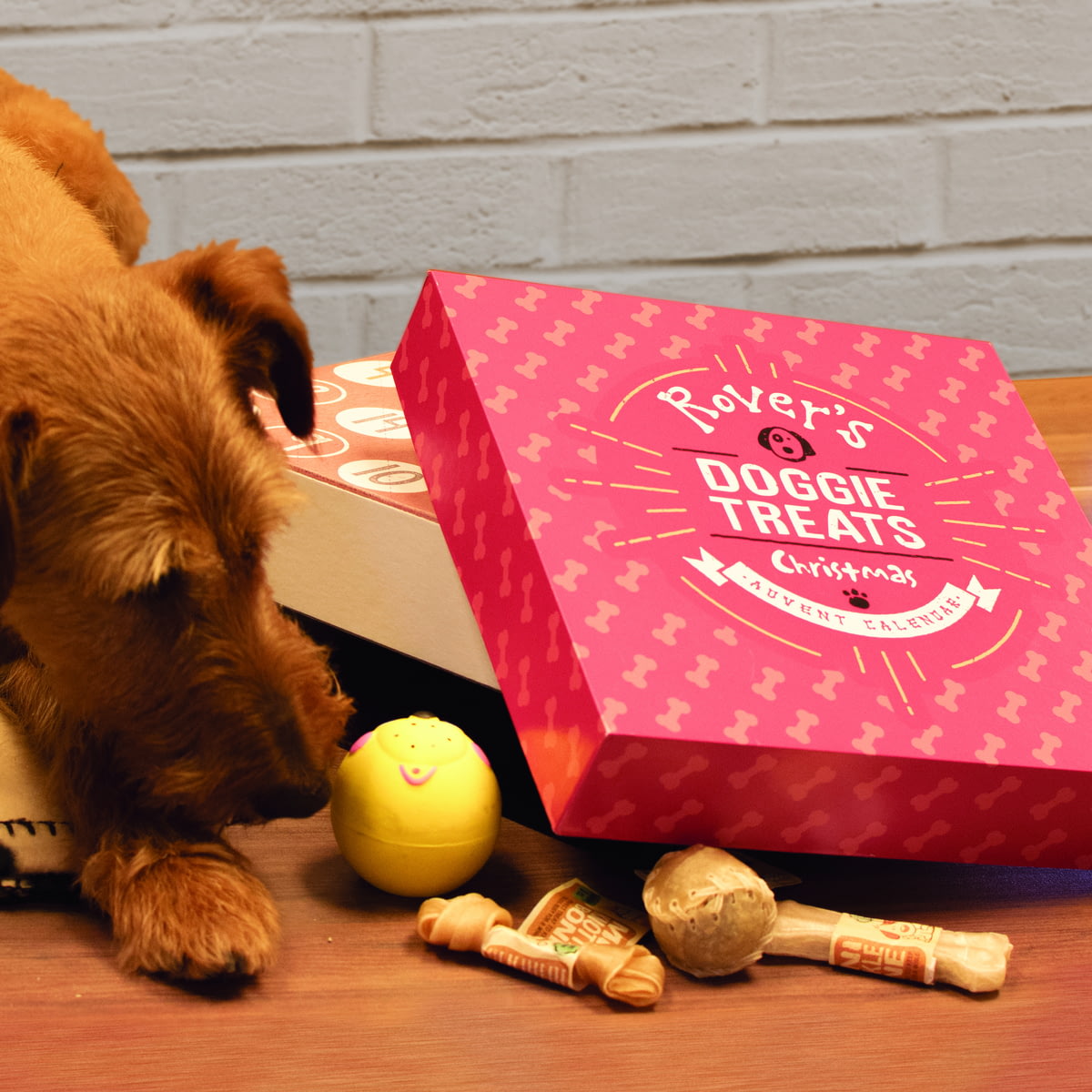 personalised dog calendar