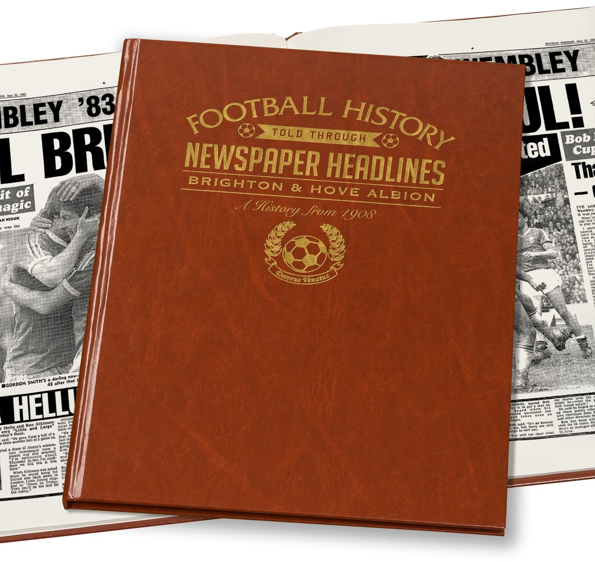 Buy your Personalised Brighton Football Newspaper Book ...