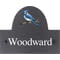 Personalised Blue Jay Bird Motif Slate House Name Or Number Plaque/Sign - 25x20cm