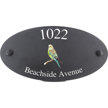 Personalised Budgerigar Bird Motif Oval Slate House Sign Plaque 25x13cm