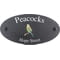 Personalised Budgerigar Bird Motif Oval Slate House Sign Plaque 25x13cm