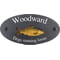 Personalised Carp Fish Motif Oval Slate House Sign Plaque 25x13cm