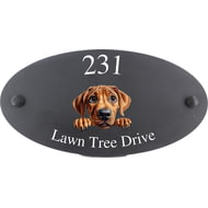 Personalised Rhodesian Ridgeback Dog Motif Oval Slate House Sign Plaque 25x13cm