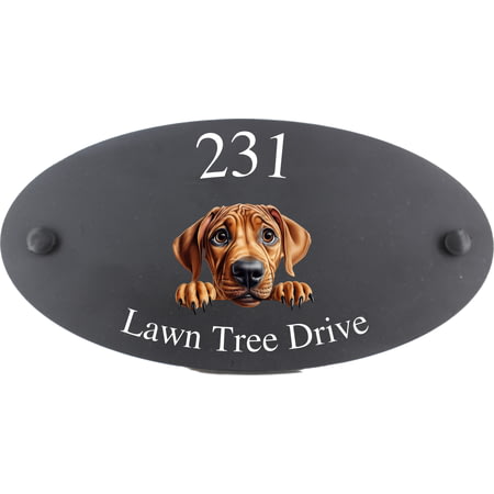 Personalised Rhodesian Ridgeback Dog Motif Oval Slate House Sign Plaque 25x13cm