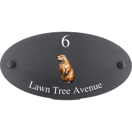 Personalised Beaver Wildlife Animal Motif Oval Slate House Sign Plaque 25x13cm