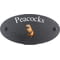 Personalised Beaver Wildlife Animal Motif Oval Slate House Sign Plaque 25x13cm