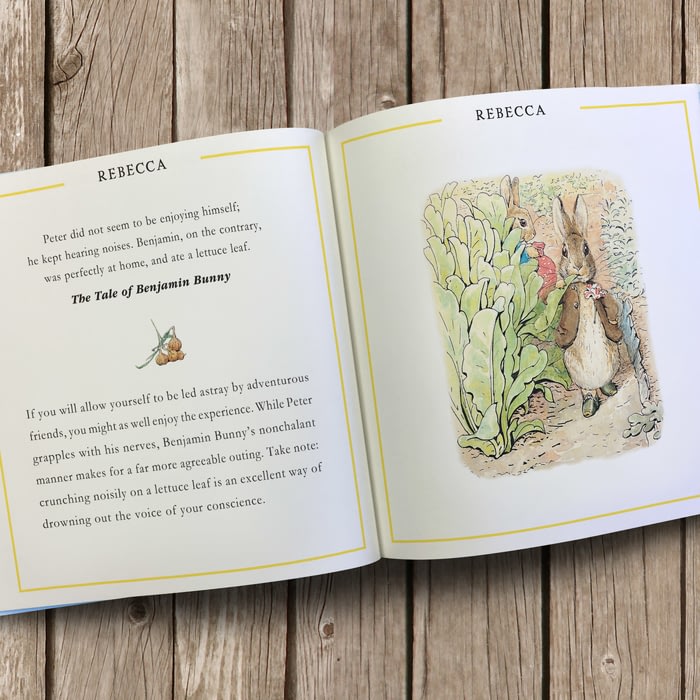 peter rabbit my first year book