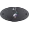 Personalised Wood Pigeon Bird Motif Oval Slate House Sign Plaque 25x13cm