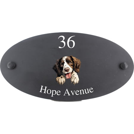 Personalised English Springer Spaniel Dog Motif Oval Slate House Sign Plaque 25x13cm