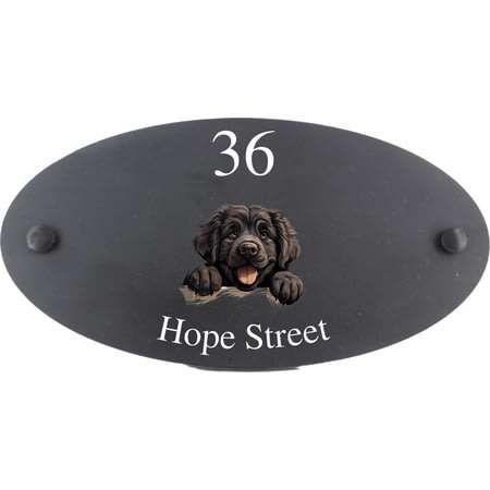 Personalised Newfoundland Dog Motif Oval Slate House Sign Plaque 25x13cm