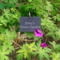 Personalised Outdoor Garden Slate Sign with Metal Stake Hanger - 13x10cm