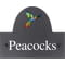 Personalised Parrot Bird In Flight Motif Slate House Name Or Number Plaque/Sign - 25x20cm