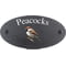 Personalised Sparrow Bird Motif Oval Slate House Sign Plaque 25x13cm