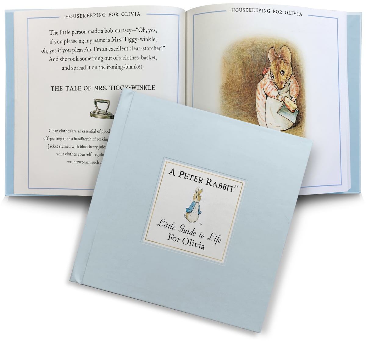 peter rabbit little library