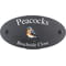 Personalised Chaffinch Bird Motif Oval Slate House Sign Plaque 25x13cm