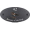 Personalised Blackbird Motif Oval Slate House Sign Plaque 25x13cm