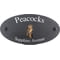 Personalised Owl Bird Motif Oval Slate House Sign Plaque 25x13cm