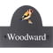 Personalised Goldfinch Bird Motif Slate House Name Or Number Plaque/Sign - 25x20cm