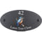 Personalised Kingfisher Bird Motif Oval Slate House Sign Plaque 25x13cm