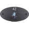 Personalised Ultra Marine Kingfisher Bird Motif Oval Slate House Sign Plaque 25x13cm