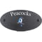 Personalised Ultra Marine Kingfisher Bird Motif Oval Slate House Sign Plaque 25x13cm