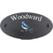 Personalised Jay Bird Motif Oval Slate House Sign Plaque 25x13cm