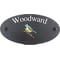 Personalised Blue Tit Bird Motif Oval Slate House Sign Plaque 25x13cm