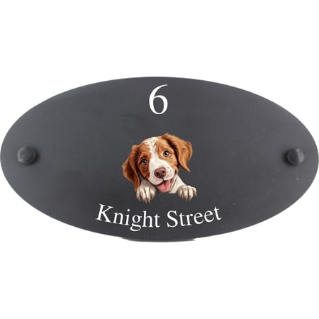Personalised Brittany Dog Motif Oval Slate House Sign Plaque 25x13cm