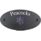 Personalised Bluebonnet Flower Motif Oval Slate House Sign Plaque 25x13cm