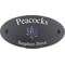 Personalised Bluebonnet Flower Motif Oval Slate House Sign Plaque 25x13cm
