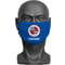 Personalised Reading FC Crest Adult Face Mask