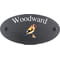 Personalised Goldfinch Bird Motif Oval Slate House Sign Plaque 25x13cm