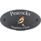 Personalised Goldfinch Bird Motif Oval Slate House Sign Plaque 25x13cm
